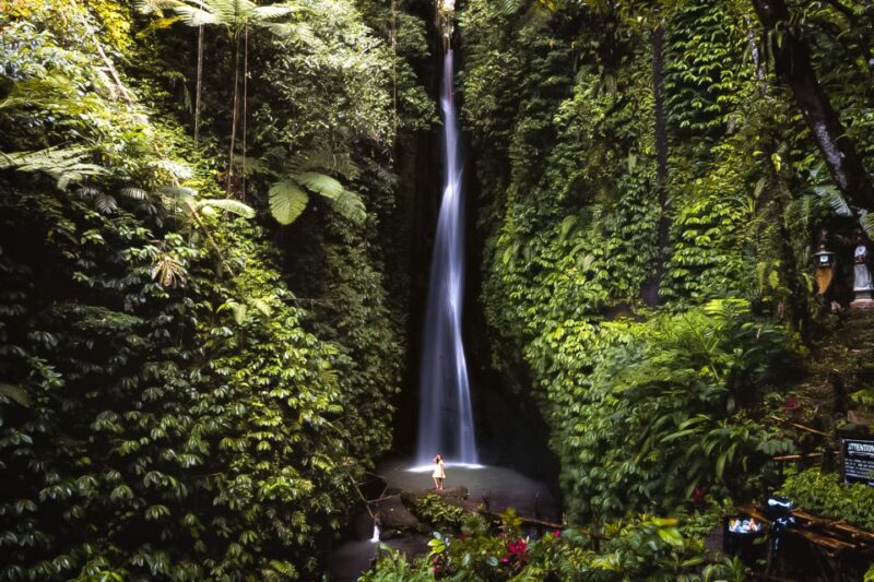Bali: Leke-Leke Waterfall, Monkey Forest & Jungle Swing Tour - Scenic Jungle Swing Adventure