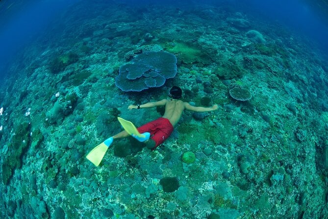 Bali Lembongan Island Beach Club Day Trip - Group Size and Weather Considerations