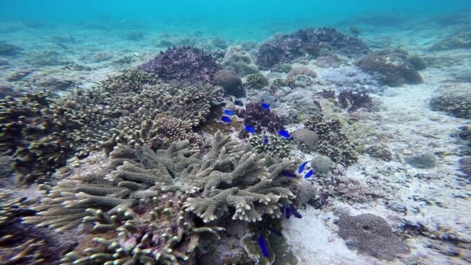 Bali Lempuyang Gate of Heaven and Snorkeling at Blue Lagoon - Pickup and Drop-off Locations