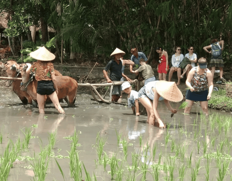 Bali Local Life Experience: Bali Taman Anyar Village Tour - Important Information and Requirements