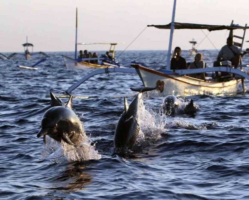 Bali: Lovina Beach Boat Ride & Ulun Danu Beratan Temple Tour - Experience Details