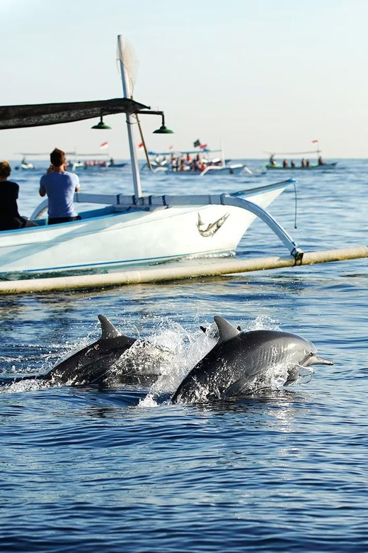 Bali: Lovina Dolphin Adventure With Breakfast and Snorkling. - Participant Restrictions