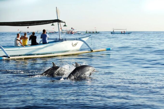 Bali: Lovina Dolphin Adventure With Breakfast and Snorkling. - Frequently Asked Questions