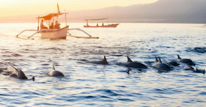 Bali: Lovina Dolphin and North Bali Sightseeing Tour - Itinerary Highlights