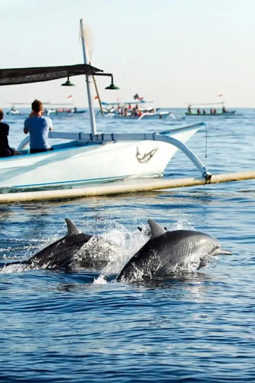Bali: Lovina Dolphin and North Bali Sightseeing Tour - Inclusions