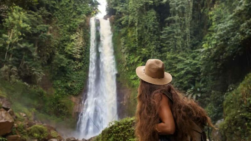Bali/Lovina: Dolphin Snorkeling, Swimming & Waterfall Tour - Key Points
