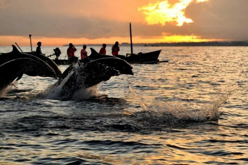 Bali/Lovina: Dolphin Snorkeling, Swimming & Waterfall Tour - A Full Breakdown of the Tour Experience