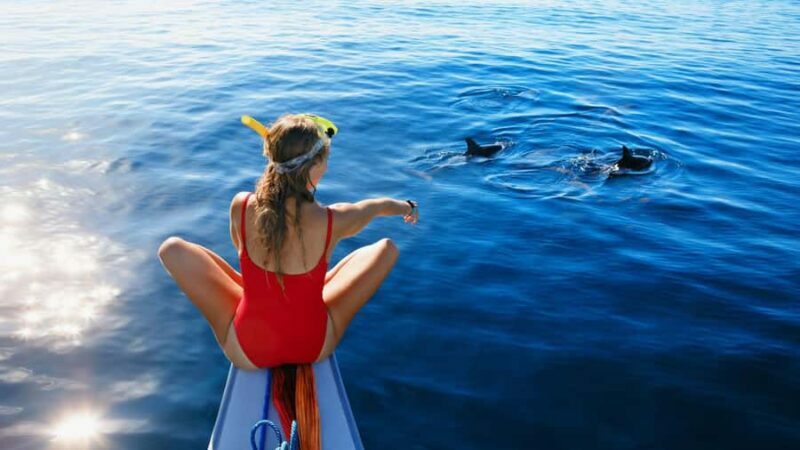 Bali/Lovina: Dolphin Snorkeling, Swimming & Waterfall Tour - Final Thoughts on the Tour’s Value