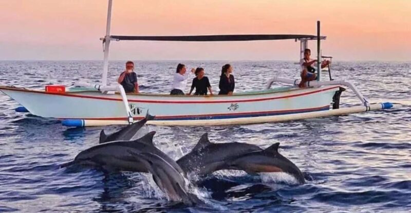 Bali Lovina Dolphin Tour & Watching Sunrise - Inclusions and Exclusions