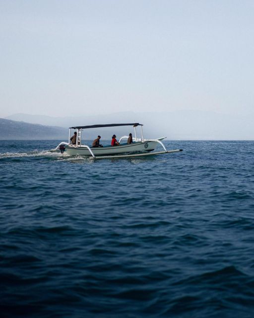 Bali Lovina Dolphin Tour & Watching Sunrise - Not Allowed