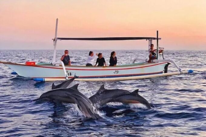 Bali Lovina Dolphin Tour & Watching Sunrise - Customer Feedback