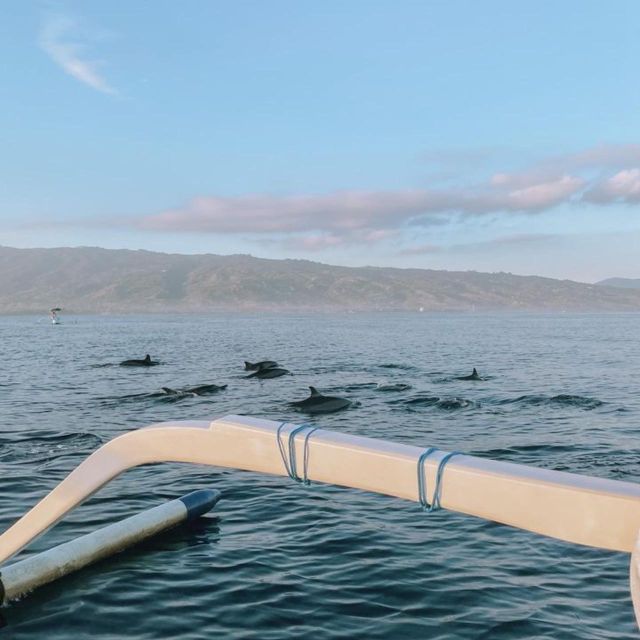 Bali Lovina Dolphin Tour & Watching Sunrise - Frequently Asked Questions