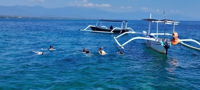Bali ; Lovina Dolphin Tour Watching,Snorkling,Swim Ticket - Transportation Details