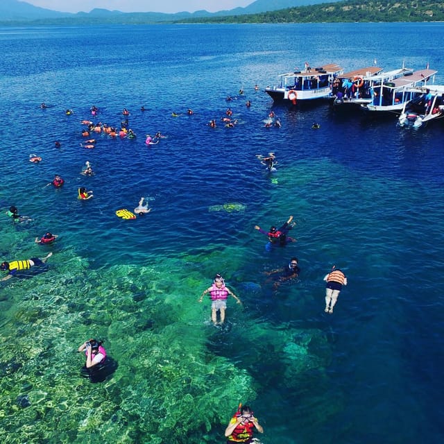Bali ; Lovina Dolphin Tour Watching,Snorkling,Swim Ticket - Sunrise Breakfast