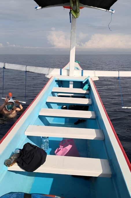 Bali ; Lovina Dolphin Tour Watching,Snorkling,Swim Ticket - Frequently Asked Questions