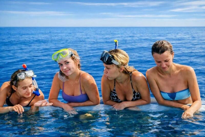 Bali/Lovina: Guided Dolphin Watching & Sunrise Boat Snorkel - The Experience: What You Can Expect
