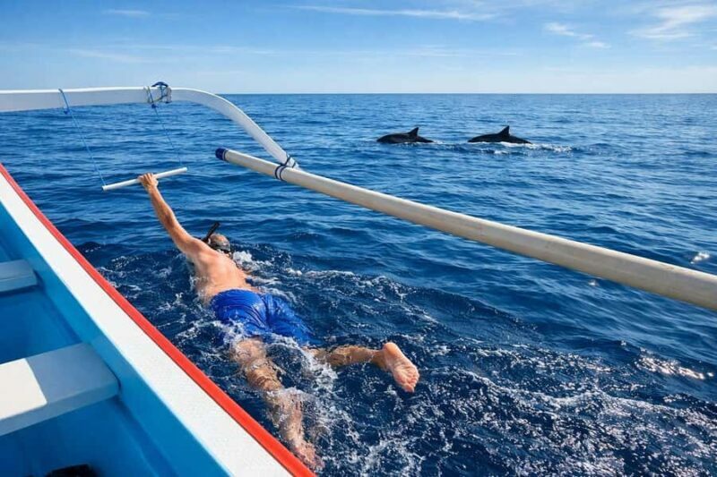 Bali/Lovina: Guided Dolphin Watching & Sunrise Boat Snorkel - Insights from Travelers