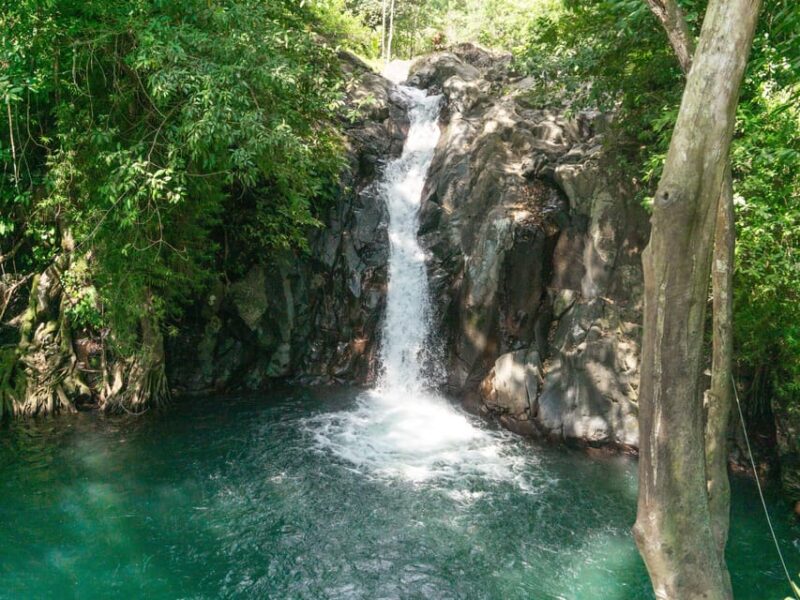 Bali: Lovina Marine Wonders, Dolphin Swim & Snorkeling. - Highlights of the Tour