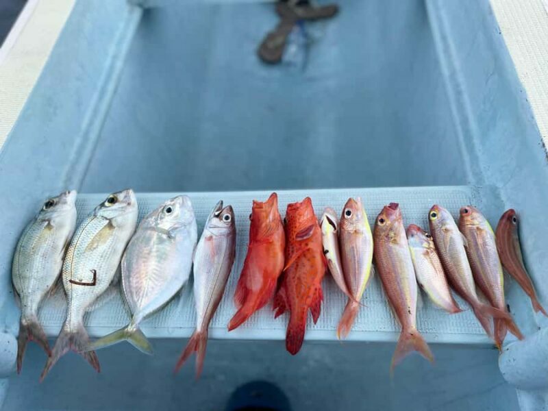 Bali/Lovina: Private Fishing Tour with Snorkeling Option - An Authentic Taste of Bali’s Northern Coast