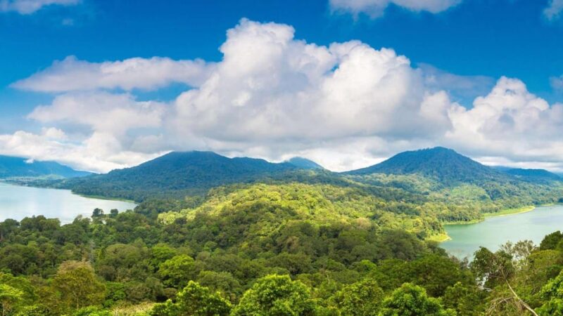 Bali/Lovina: See Dolphin, Hidden Hill, Waterfalls and Lunch - Key Points