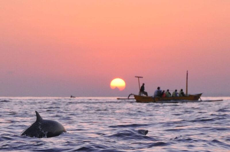 Bali/Lovina: See Dolphin, Hidden Hill, Waterfalls and Lunch - Itinerary Details