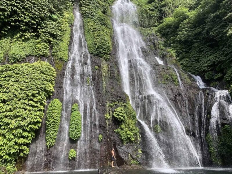 Bali/Lovina: See Dolphin, Hidden Hill, Waterfalls and Lunch - Important Notes