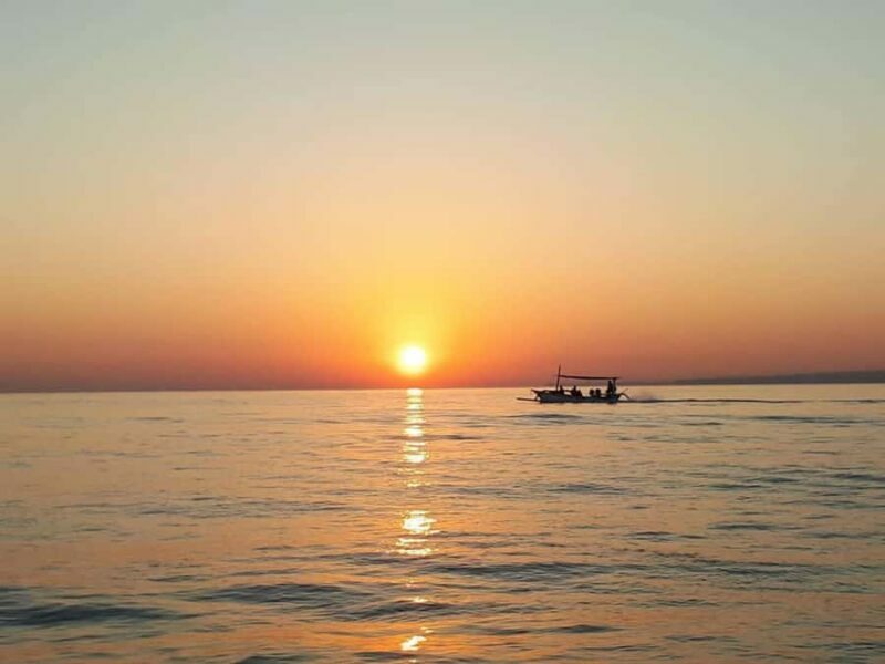 Bali: Lovina Sunrise Dolphin Watching And Snorkeling Tour - Key Points