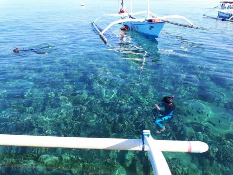 Bali: Lovina Sunrise Dolphin Watching And Snorkeling Tour - The Cultural and Natural Context of Lovina