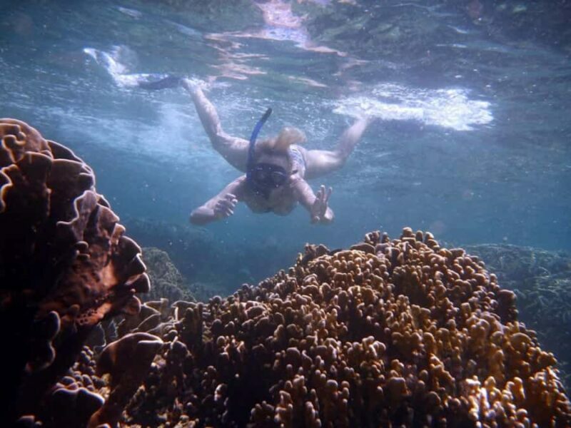 Bali: Lovina Sunrise Dolphin Watching And Snorkeling Tour - Pricing and Value