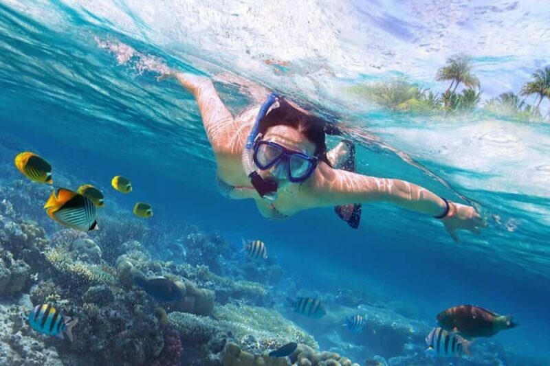 Bali: Lovina Sunset Tour with Snorkeling Experience - A Quiet Escape: The Charm of Lovina’s Sunset Tour