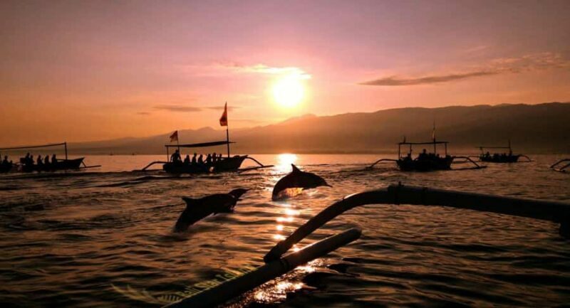 Bali: Lovina Swimming With Dolphine & Snorkeling Tour - An In-Depth Look at the Tour