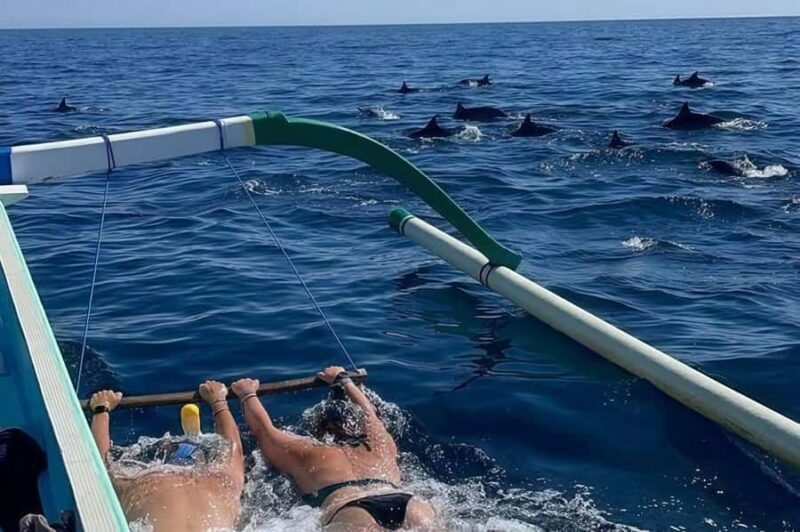 Bali: Lovina Swimming With Dolphine & Snorkeling Tour - FAQs