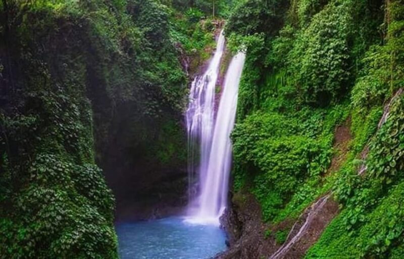Bali: Lovina Tour to See Dolphin - Inclusions in the Tour