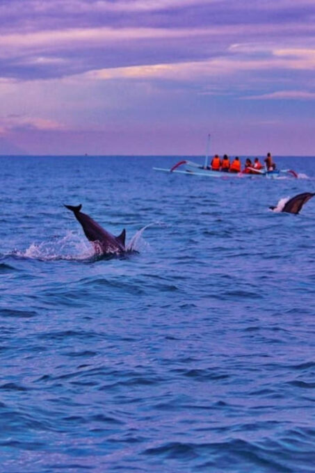 Bali: Lovina Tour to See Dolphin - Pickup and Drop-off Locations