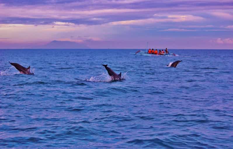Bali: Lovina Tour to See Dolphin - Experience Details