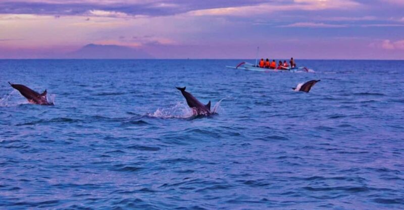 Bali: Lovina Tour to See Dolphin - Cancellation Policy