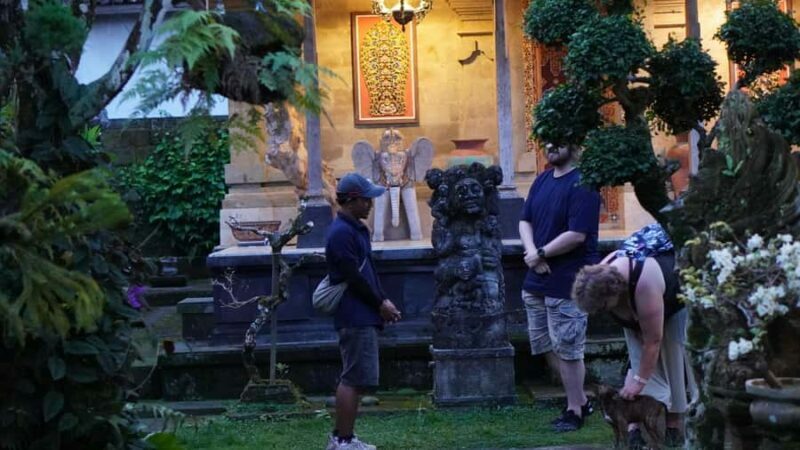 Bali: Magical Night Firefly Tour with Culture Insight - The Fireflies: A Nightly Wonder?