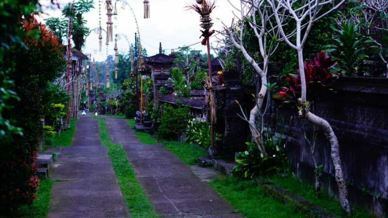 Bali: Magical Night Firefly Tour with Culture Insight - Value and Practicalities