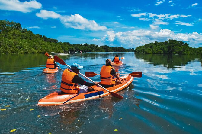 Bali Mangrove Canoeing Tour - Highlights From Reviews