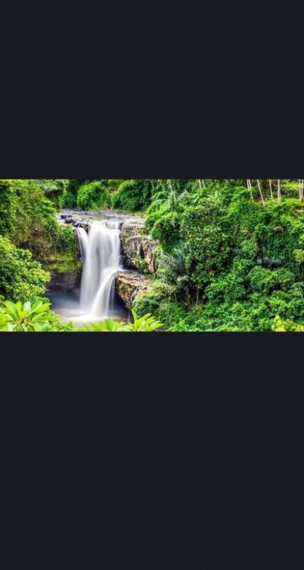 Bali: Monkey Forest, Rice Terrace, Water Temple, Waterfall - Important Information