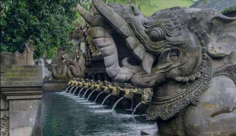 Bali: Monkey Forest, Rice Terrace, Water Temple, Waterfall - Customer Reviews