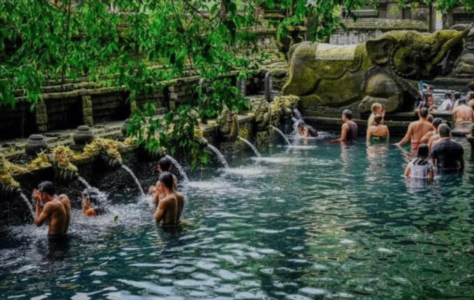 Bali: Monkey Forest, Rice Terrace, Water Temple, Waterfall - Monkey Forest Sanctuary
