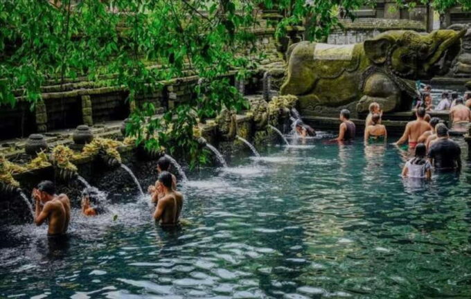 Bali: Monkey Forest, Rice Terrace, Water Temple, Waterfall - Tegallalang Rice Terrace
