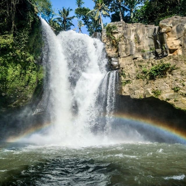 Bali: Monkey Forest, Rice Terraces, Batuan Temple & Waterfal - Included Services