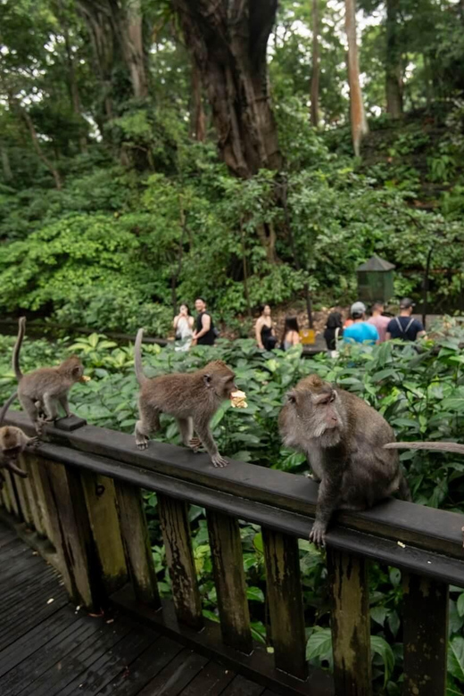 Bali :Monkey Forest, Tegalalang, Temple & Secluded Waterfall - Tour Inclusions and Vehicle Details