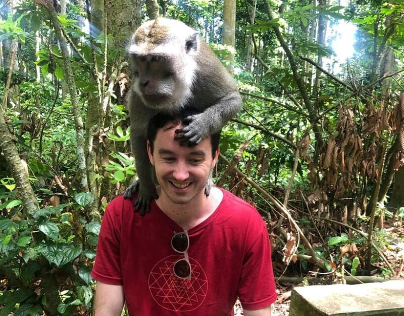 Bali: Monkey Forest, Waterfalls, Rice Terracep, and Coffee … - Key Points