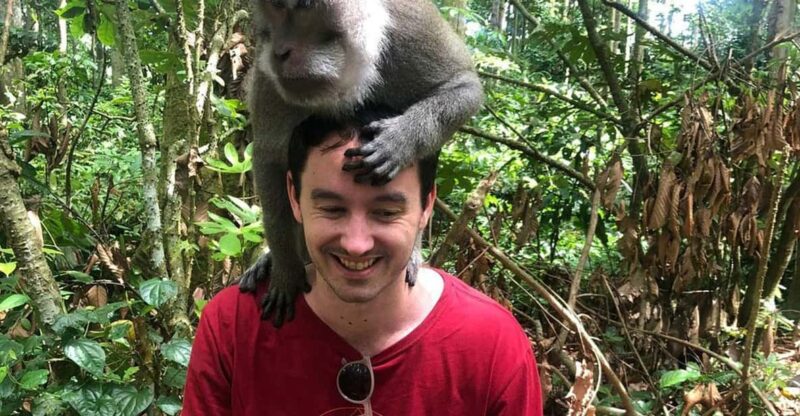 Bali: Monkey Forest, Waterfalls, Rice Terracep, and Coffee … - Itinerary Highlights