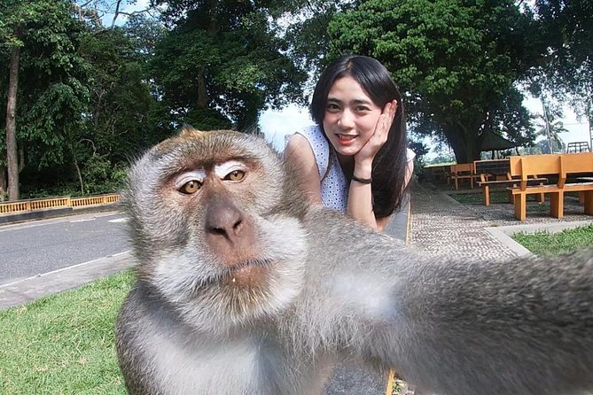 Bali Most Instagram Photos Spot Trip - Jatiluwih Green Land
