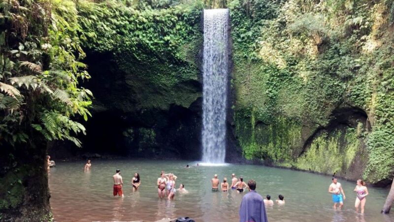 Bali : Mother Temple, Penglipuran Village & Best Waterfall - Itinerary Highlights