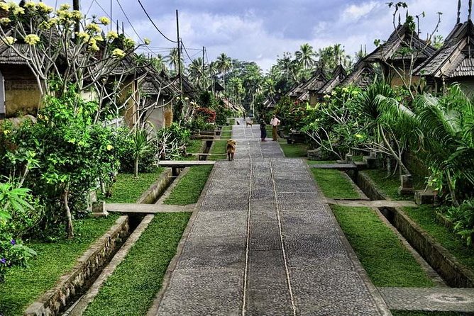Bali Mother Temple Tours - Rituals and Traditions at Besakih